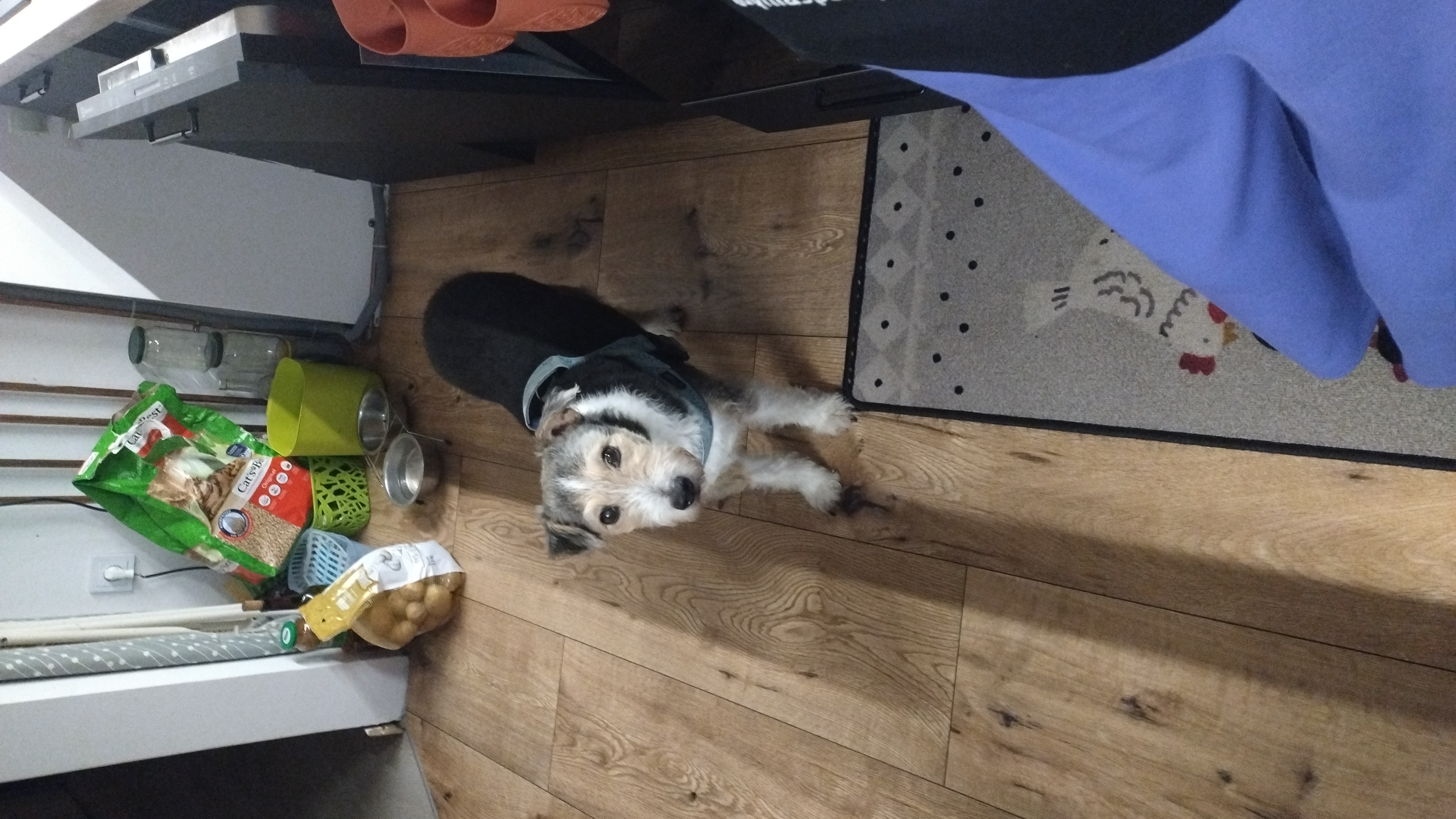 1ritemc5ojXWsZGavFYzqimEKLg1RWaqq